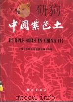 中国紫色土  上篇   1991  PDF电子版封面  7030022890  中国科学院成都分院土壤研究室著 
