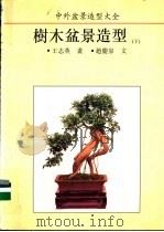 中外盆景造型大全 树木盆景造型 下 1993 PDF电子版封面 7560812015 王志英画;赵庆泉文