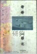 舒婷影记 1998 PDF电子版封面 754343198X 舒婷著