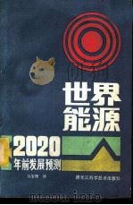 世界能源  2020年前发展预测   1982  PDF电子版封面  13217·051  （苏）Ю.Н.什达尔斯诺夫著；马宝珊译 