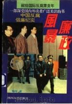 廉政风暴  中国反腐倡廉纪实   1995  PDF电子版封面  7220028695  鲜琦著 