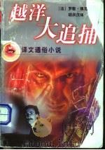越洋大追捕   1998  PDF电子版封面  7532720977  （法）罗歇·博尼什（Roger Borniche）著；胡洪庆 