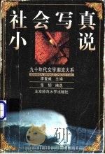 社会写真小说 1999 PDF电子版封面 7303049975 张韧编选