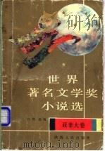 世界著名文学奖小说选 亚非大卷 1992 PDF电子版封面 7224018198 白烨选编