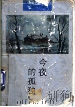 今夜的孤独   1992  PDF电子版封面  7805425337  陈村著 