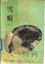雪痕 1993 PDF电子版封面 7805345716 肖复兴著