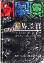 商界黑幕   1993  PDF电子版封面  753780690X  （日）大下英治著；包容译 