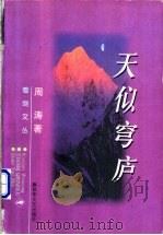 天似穹庐 1998 PDF电子版封面 7503309784 周涛著