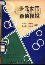 多元大气数值模拟 1991 PDF电子版封面 7502910069 王书仁等编著