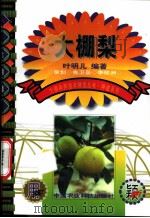 大棚梨 1999 PDF电子版封面 7801196945 叶明儿编著