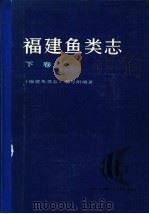 福建鱼类志  下   1985  PDF电子版封面  16211·95  《福建鱼类志》编写组编著 