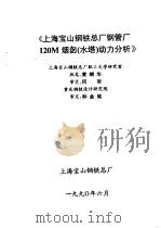 回转对称组合结构动力分析微机程序系统HDDJ-DY用户报告集 PDF电子版封面