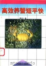 高效养蟹短平快   1997  PDF电子版封面  7800963098  曾立文编著 