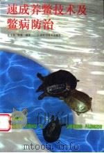 速成养鳖技术及鳖病防治   1997  PDF电子版封面  7539011521  彭金良，雷涌编著 