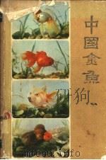 中国金鱼 1983 PDF电子版封面 16212·19 伍惠生,傅毅远编著