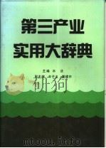 第三产业实用大辞典 1994 PDF电子版封面 7800358755 水法主编