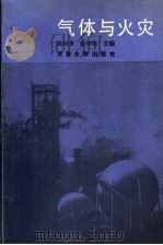 气体与火灾 1991 PDF电子版封面 7561802439 高向东,张学伟主编
