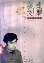 张炜文集 5 中短篇小说卷 1997 PDF电子版封面 753211564X 张炜著