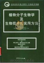 植物分子生物学及生物技术的实用方法 1999 PDF电子版封面 7536638639 (加拿大)B.R.格利克(Bernard R.Glick),