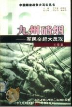 九州硝烟 军民奋起大反攻 1999 PDF电子版封面 7544018377 王常忠编著