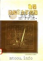鲁西归来庄金矿成因   1997  PDF电子版封面  7533119495  林景仟等著 