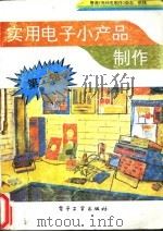 实用电子小产品制作  第2辑   1995  PDF电子版封面  7505318586  香港《无线电制作》杂志供稿 