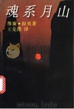 魂系月山 1997 PDF电子版封面 7532716368 (德)维廉·拉贝(Wilhelm Raabe)著;王克澄译