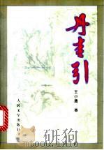 丹青引 1997 PDF电子版封面 7020024793 王小鹰著