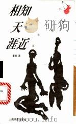 相知天涯近   1996  PDF电子版封面  780622145X  素素著 