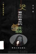 没人看见你看见的景致 1999 PDF电子版封面 7225017616 张耳著