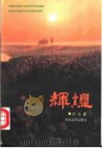 辉煌 1996 PDF电子版封面 7530622811 东方著