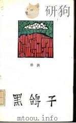 黑鸽子   1990  PDF电子版封面  7506303310  孙泱著 