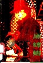 黑蟑螂 1988 PDF电子版封面 7541103152 小民,小凡著