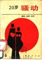 20岁骚动   1989  PDF电子版封面  7800536068  霍晓等著 