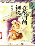 在黎明的铜镜中 1993 PDF电子版封面 7303029974 谢冕,唐晓渡主编