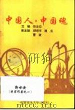 中国人·中国魂 1995 PDF电子版封面 7562001588 张念宏主编