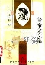 普希金文集  第6卷  小说·特写   1995  PDF电子版封面  7020020232  （俄）普希金著；卢永选编；迎秀等译 