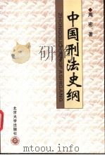 中国刑法史纲   1998  PDF电子版封面  7301038690  周密著 