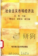 社会主义市场经济法 1993 PDF电子版封面 7560306896 朱愚主编