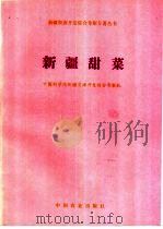 新疆甜菜 1994 PDF电子版封面 7109037010 中国科学院新疆资源开发综合考察队编