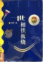 世相铁板烧   1998  PDF电子版封面  7208027234  原野著 
