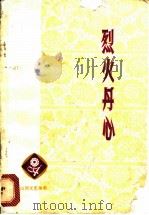 烈火丹心（1974 PDF版）
