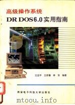 高级操作系统DR DOS 6.0实用指南 1994 PDF电子版封面 7560603424 王亚平等编著