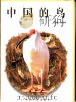 中国的鸟 1997 PDF电子版封面 7503815973 张词祖摄影,庞秉璋撰文