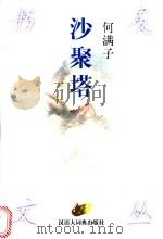 沙聚塔 1999 PDF电子版封面 7543203774 何满子著