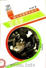 盲流梦   1991  PDF电子版封面  7805300569  朱大路著 