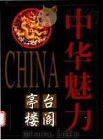 亭台楼阁   1998  PDF电子版封面  7531916320  冯骥才名誉主编 