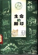 生命的脚印 1979 PDF电子版封面 13103·6 徐世延编写