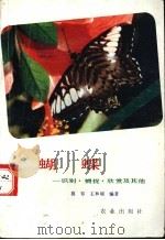 蝴蝶  识别、捕捉、欣赏及其它   1993  PDF电子版封面  7109028348  莫容，王林瑶等编著 