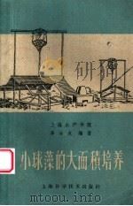 小球藻的大面积培养 1959 PDF电子版封面 16119·336 华汝成编著